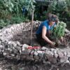 Klimaat bestendige tuin
