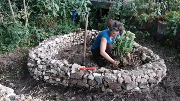Klimaat bestendige tuin