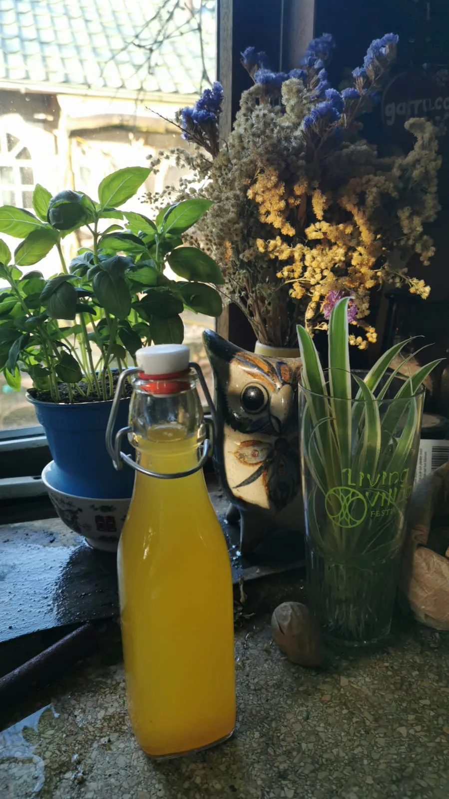 Paardebloem siroop