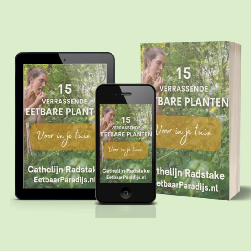 Eetbare planten Muckup