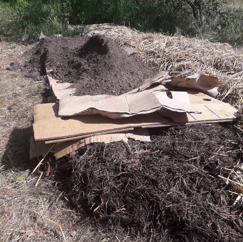 Nodig-plantenbed-aanleggen