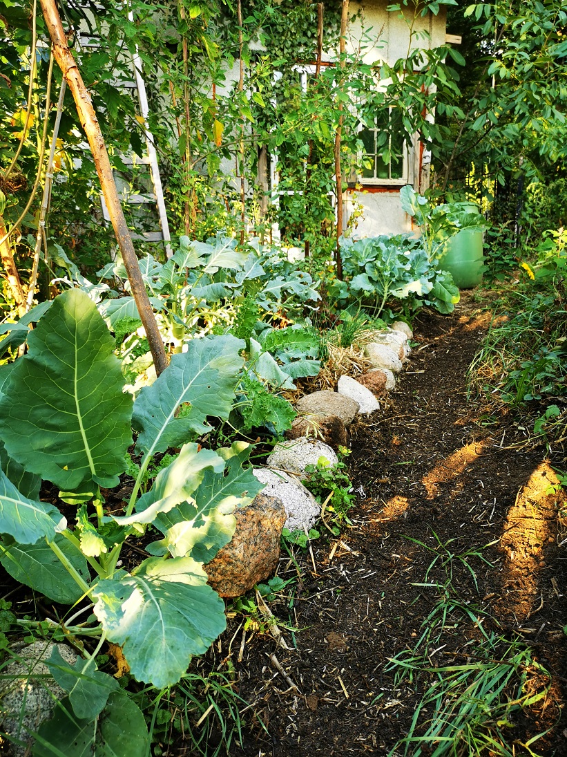 borderrand-natuur-steenklein